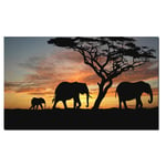 DIY 5D Diamond Painting Kit for Adults Dusk Elephant Group Square Drill,80x160cm Large Full Drill by Number Crystal Rhinestone Embroidery Cross Stitch Arts Craft for Living Room Home Wall Decor R1244
