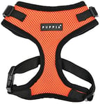 Kattsele Puppia Ritefit Orange, M