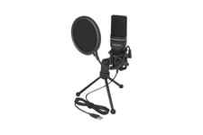 Delock USB Condenser Microphone Set for Podcasting, Gaming and Vocals - mikrofon