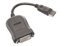 Lenovo - Displayport-Adapter - Displayport (Hane) Till Dvi-D (Hona) - 20 Cm