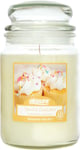 AIRPURE Large Candle Scented, Vanilla Cupcake Fragrance, 18Oz Jar, 120 Hour Orna