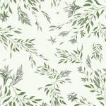 Spirea - Snövit