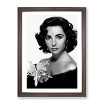 Elizabeth Taylor No.1 Modern Framed Wall Art Print, Ready to Hang Picture for Living Room Bedroom Home Office Décor, Walnut A4 (34 x 25 cm)