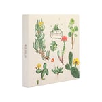 Grupo Erik Botanical Cacti Self-Adhesive Photo Album - 6.3x6.3 inches / 16x16 cm / 11 Double Sided Pages - Hardcover - Friend Gifts - Photo Books For Memories - Cute Gifts