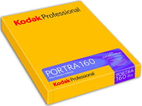 KODAK Portra 160 8X10 Inch (10 Films)