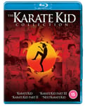 Karate Kid 1-3 + Next Karate Kid (Blu-ray) (4 disc) (Import)