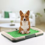 Puppy Potty Training Pad Mat Pet Toilet Trainer Set Dog Litter Tray Indoor House