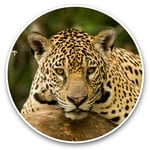 Awesome Vinyl Stickers (Set of 2) 7.5cm - Jaguar Brazil Jungle Big Cat Wild Fun Decals for Laptops,Tablets,Luggage,Scrap Booking,Fridges,Cool Gift #45427