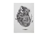 Maxwell & Williams - Serviette de Table 100% Coton, Imprimé Fleuri de Koala, Collection Marini Ferlazzo, 50 x 70 cm - Noir et Blanc