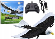 Leantoys Fjärrstyrt Eagle Bird-Plan Rc 2.4G 41Cm X 28Cm X 5Cm