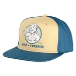 Fallout Casquette Snapback Vault Forever