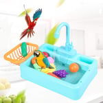 Bird Feeder Pet Pool - Parrot Bath Stand, Bird Bath Box Automatic Bird Bathing Tub With Faucet Food Container Bird Accessory For Pet Parrots