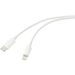 Renkforce - Câble usb usb 2.0 usb-c® mâle, Connecteur Lightning 3.00 m blanc (nacré) RF-5724082 C857192