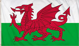 SHATCHI Grand drapeau du Pays de Galles 1,5 x 0,9 m Drapeau national du Pays de Galles Cymru Tissu Polyester Œillets en laiton pour Coupe du Monde FIFA pour supporter de football, rugby, sport, rouge,