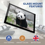 A3 Glass Frame - Baby Panda Bear China Art Gift #21174