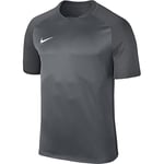 NIKE Kids Dry Team Trophy III Football Jersey T-Shirt - Cool Grey/Dark Grey/Dark Grey/(White), Small
