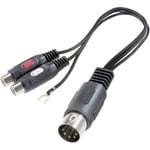 SpeaKa Professional RCA / DIN-anslutning Audio Y-adapter [1x DIN hane 5-pol - 2x RCA-hona] Svart