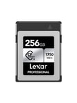 Professional SILVER CFexpress Type B - 1750MB/s - 256GB
