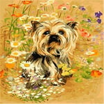 Paint by Numbers DIY Oil Painting kit Garden Puppy Beige 40x50cm Modern Pop Hand Digital Painting oil Tablet Adults and Kids Beginner Gift Kits Pre-Printed Canvas Colorful Wall Art Home Decor T6047