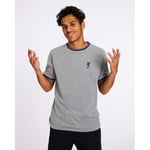Liverpool FC T-Shirt Crew - Grå adult A22GL03