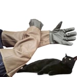LY-Rack British Shorthair Anti Bite Gloves Pet Handling Gloves Durable Leather Scratch for Dog Cat Bird Snake Lizard Wild Animals and Gardening Gloves
