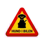 Hund i bil Dekal , Självhäftande