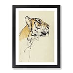 Study Of A Tiger Vol.2 By John Macallan Swan Asian Japanese Framed Wall Art Print, Ready to Hang Picture for Living Room Bedroom Home Office Décor, Black A3 (34 x 46 cm)