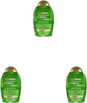 OGX Tea Tree Clarifying Shampoo for Oily and Greasy Hair 385 Ml (Pack of 3)