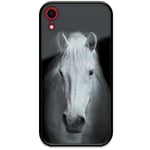 Apple Iphone Xr Svart Mobilskal Med Glas Häst
