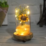 Valentines Gifts for Him Her, Sunflower in Glass Dome Decorative Night Lamp for Wife Girlfriend's Birthday Wedding