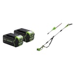 Greenworks 40V Battery Set of 2. Original Greenworks Batteries. Powerful 4Ah Lithium-Ion Batteries & G40PSH Cordless 2-in-1 Pole Saw and Pole Hedge Trimmer with Shoulder Strap