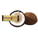 Organic foodbar Raw Food Bar Chocolate Coconut