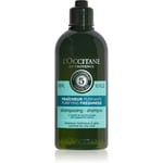 L’Occitane Aromachologie Rensende shampoo Fra normal til fedtet hår 300 ml