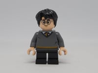 Harry Potter, tummanharmaa villapusero
