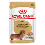 Ekonomipack: Royal Canin Breed 48 x 85 g - Breed Dachshund