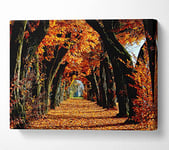 Beautiful Path Canvas Print Wall Art - Double XL 40 x 56 Inches