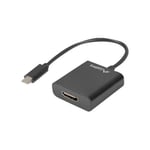 Lanberg adapter för video / ljud - HDMI / USB - 15 cm