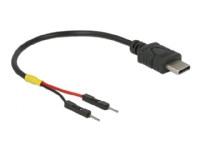 Delock - USB-/strömkabel - 24 pin USB-C (hane) till 2-stifts USB-kontakt (hane) separat - 10 cm - svart