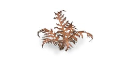 Gamers Grass Full Color Laser Cut Plants Dry Bracken (26) Per Pack GGLP-DB