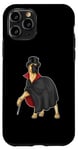 iPhone 11 Pro Great Dane Wizard Magic wand Case