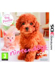 Dogs and Cats: Toy Poodle & New Friends - Nintendo 3DS - Simulering - husdjur