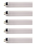 x 5 Philips 18w 2ft T8 Fluorescent Tube €“Cool White / 840 (2-Pin, G13 Cap)