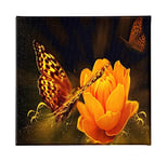 Homemania Tableau Butterfly - Animaux - pour Salon, Chambre - Multicouleur en Polyester, Bois, 60 X 3 X 60cm - HM20KNV60x60-20