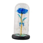 LOVIVER Galaxy Rose Forever Flower with Dome, Artificial Flower, Light Up Fake Flower for Her, Girls, Christmas, Mother's Day, Anniversary - Blue+Warm Light
