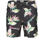 Hawaii Tropic Volley badshorts Herr BLACK L