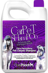Pet Carpet Shampoo Lavender Fragrance Odour Neutralising 1 x 5L