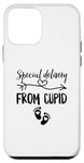 iPhone 12 mini Special Delivery From Cupid Valentines Day Couples Pregnancy Case