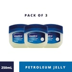 Vaseline Original Protecting Jelly Pack of 3 - 250ml