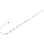 Grazia LED Strip vit 48W 6700lm 3000K CRI80 5M 24V IP20