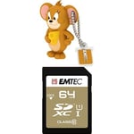 Pack Support de Stockage Rapide et Performant : Clé USB - 2.0-16 Go + Carte MicroSD - Gamme Elite Gold - Classe 10-64 GB